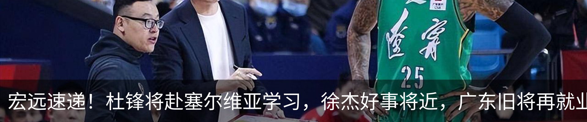 新闻动态