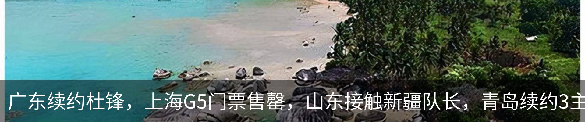 新闻动态